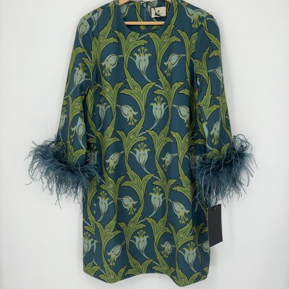 Tuckernuck Dress with feather sleeves